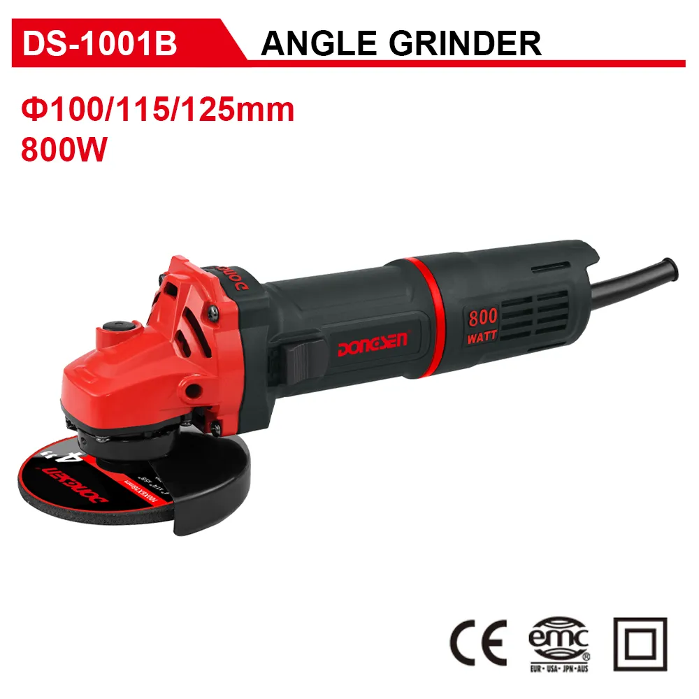DS-1001B
