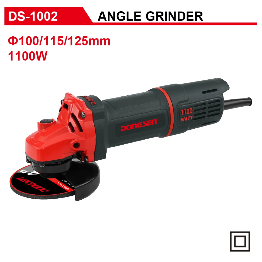 DS-1002