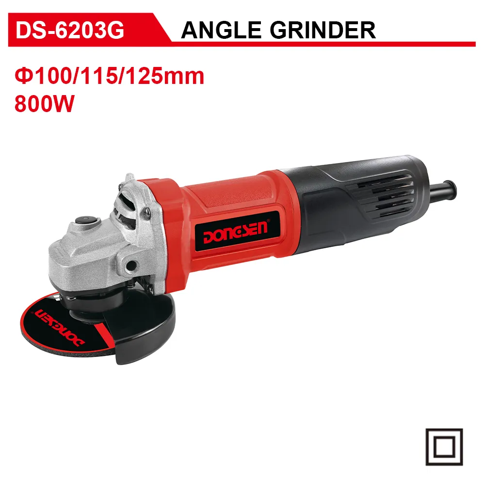 DS-6203G