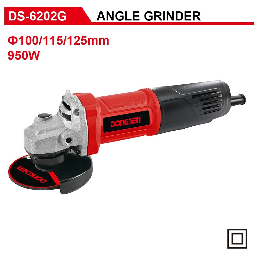 DS-6202G