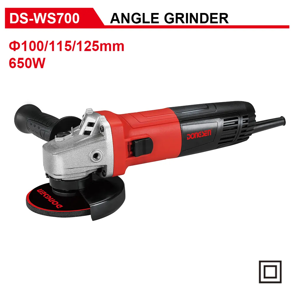 DS-WS700