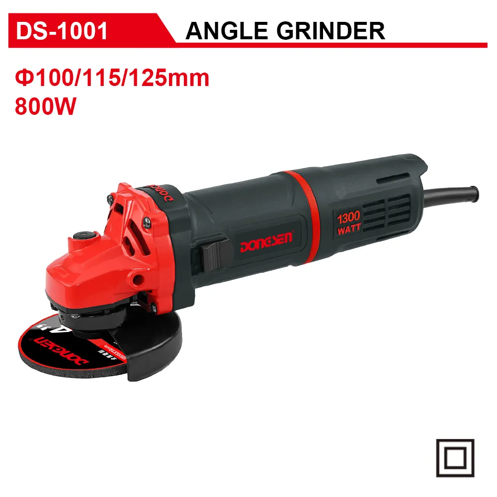 DS-1001