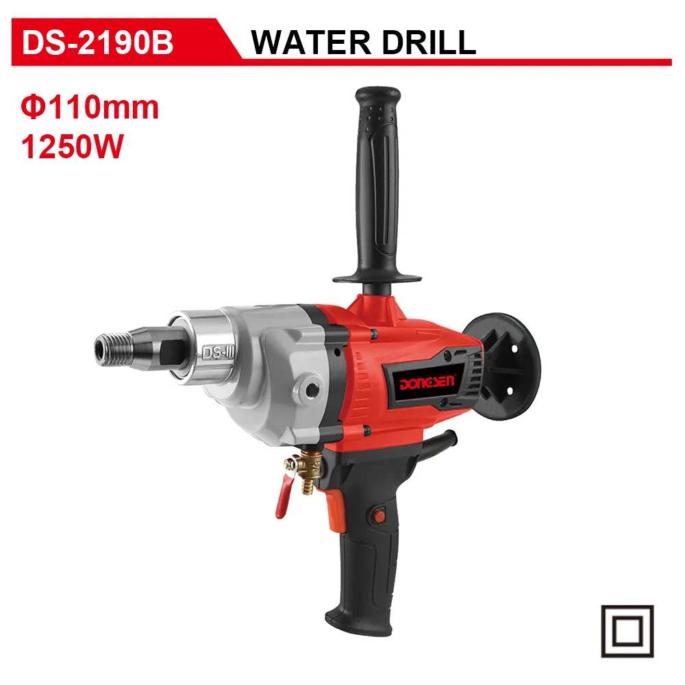 DS-2190B