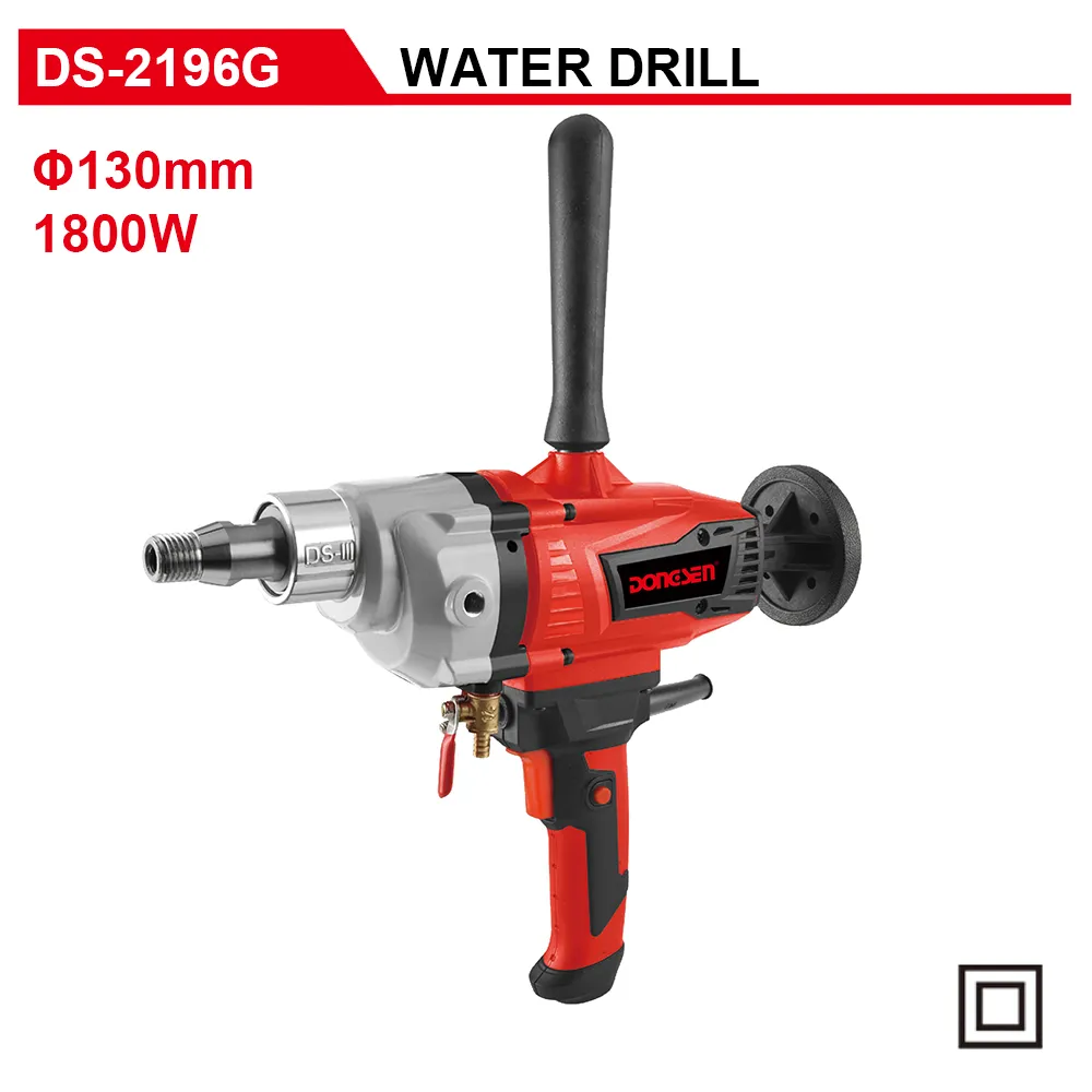 DS-2196G