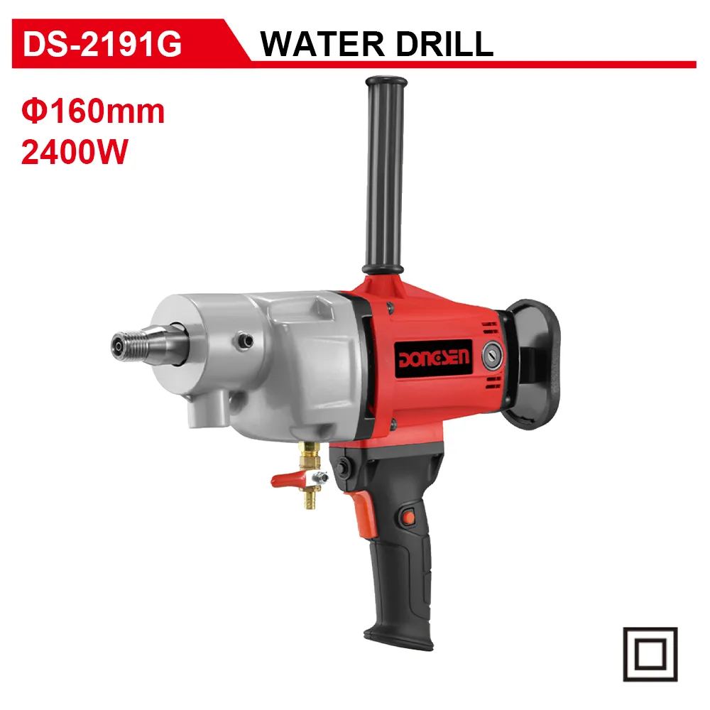 DS-2191G