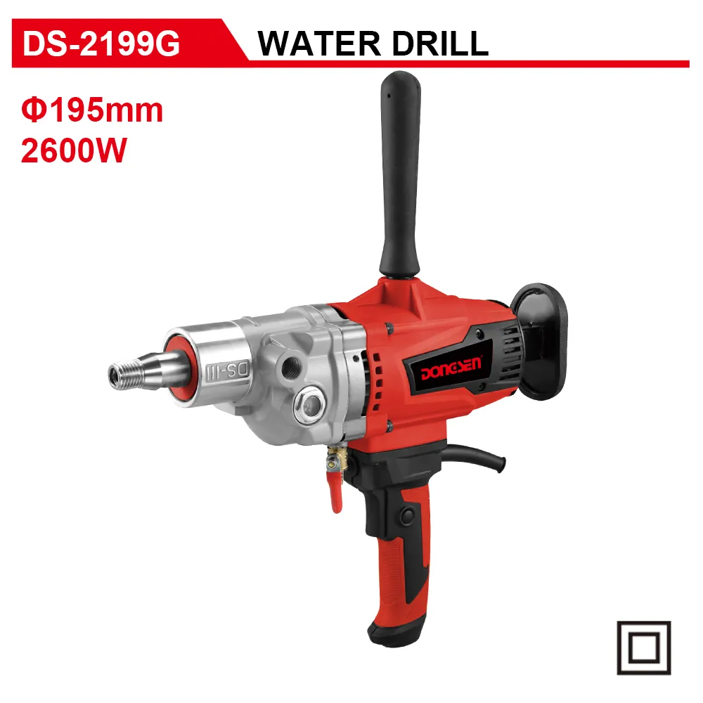 DS-2199G