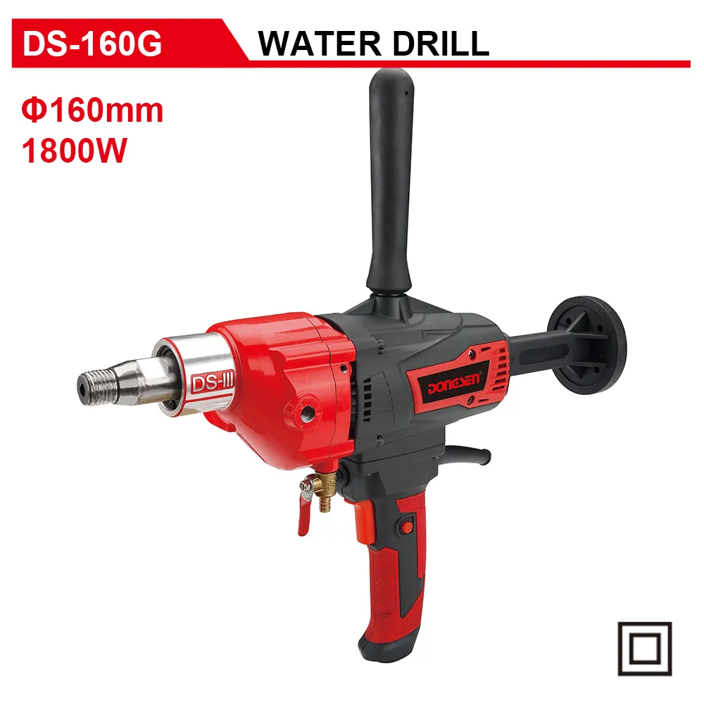 DS-160G