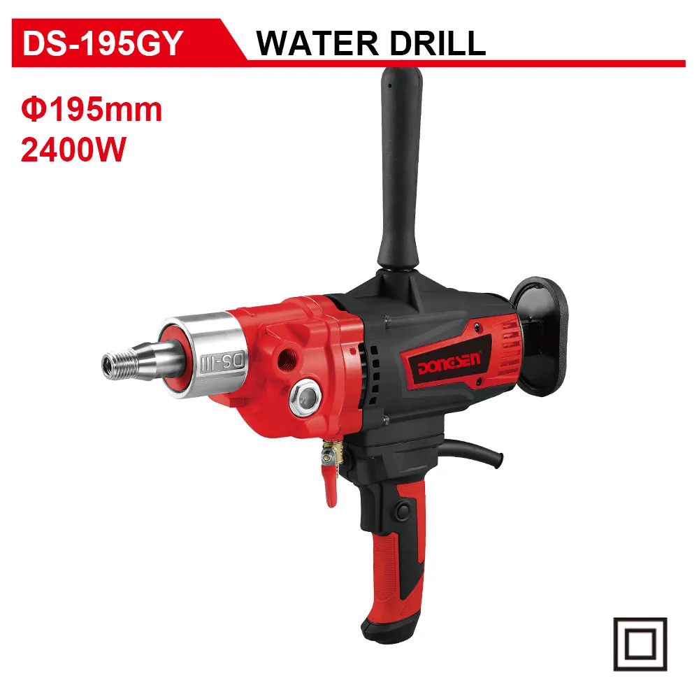 DS-195GY