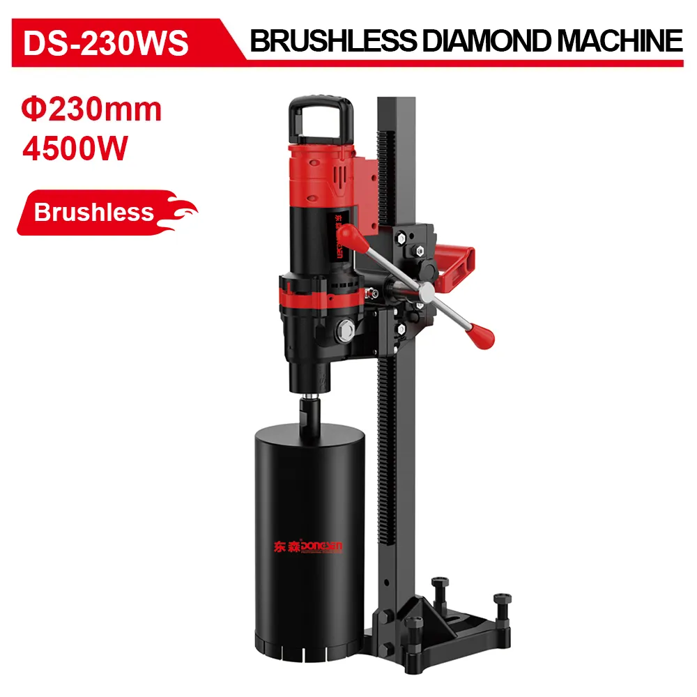 DS-230WS